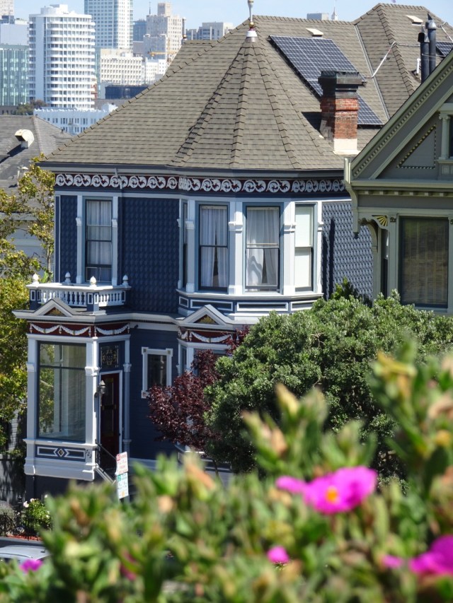 Painted Ladies